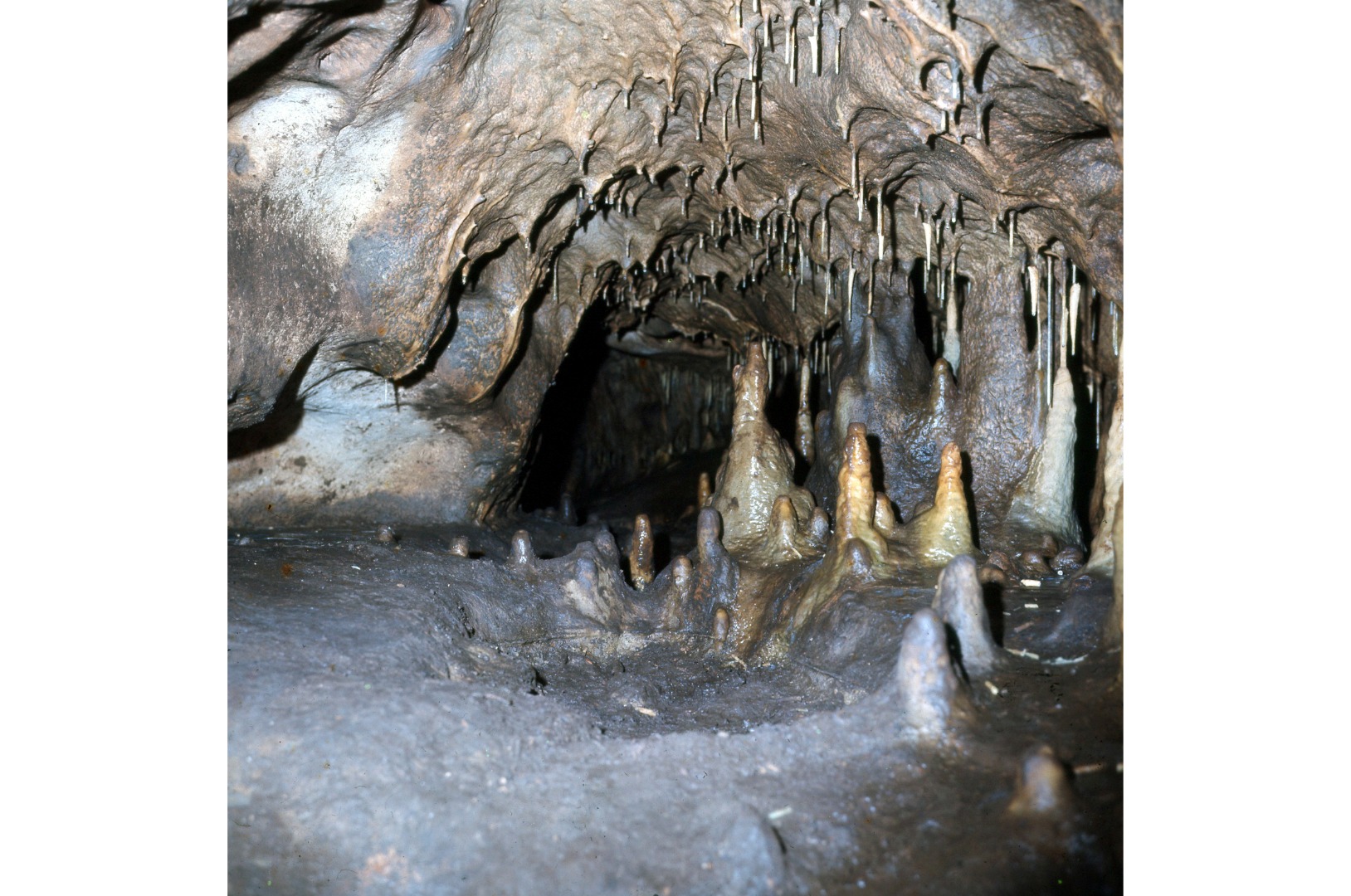 Grotta dei Cervi_8